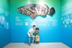 AquaRio - Epidermólise Bolhosa