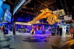 Aquario-2