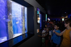Aquario-35