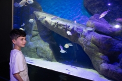 Aquario-44