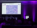 DermatopatologiaComparativa_14Fev20-7167